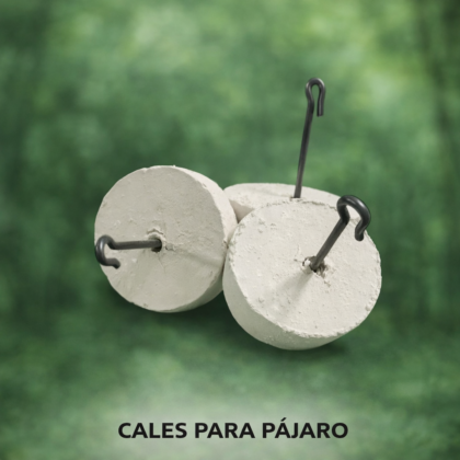 CALES PAJAROS - 25 UND PE51810