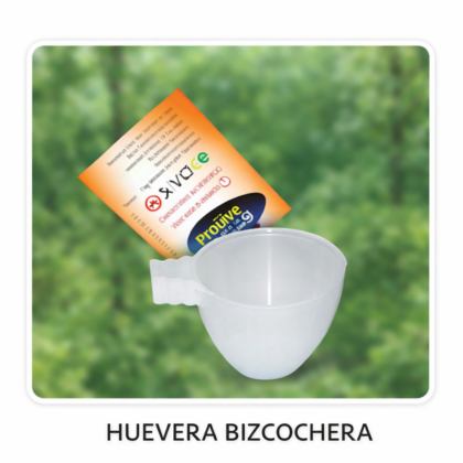 HUEVERO BIZCOCHERO PE51261