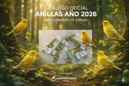 ANILLAS DEL AÑO 3 MM A0084